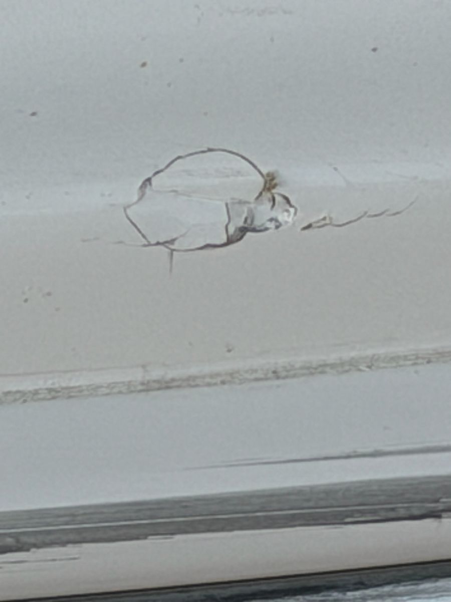 A ding in a boat hull — an example of the damage we come out to repair